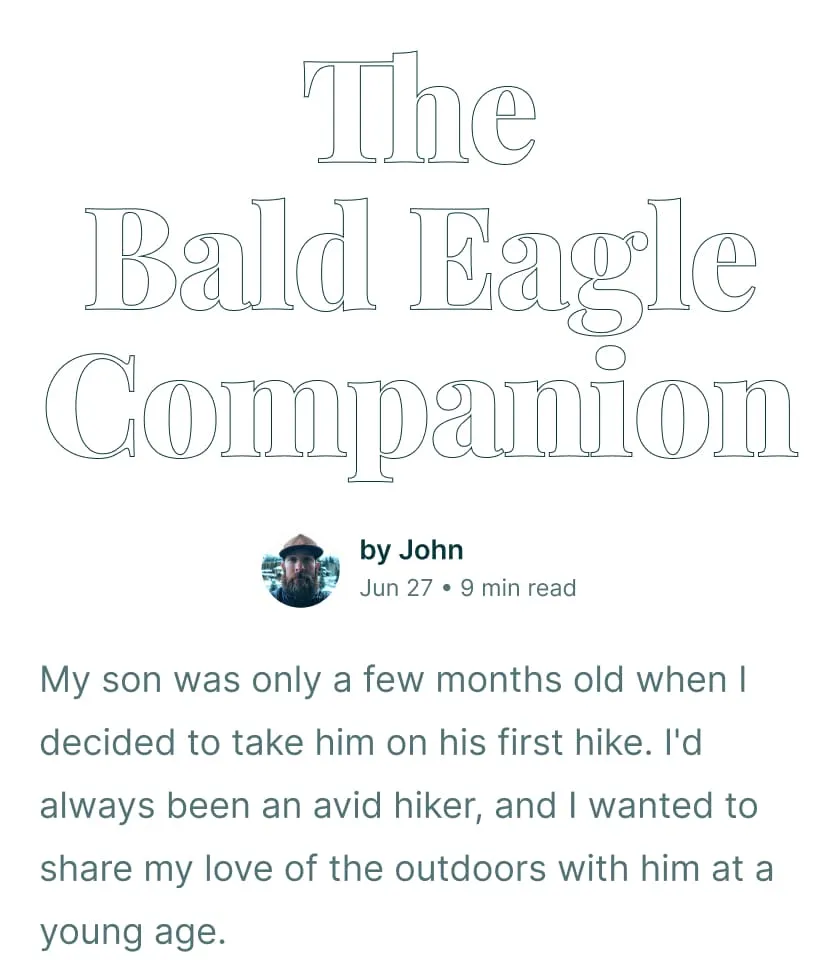 Iloomi app — story preview with The Bald Eagle Companion
